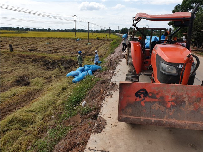 Vùng lúa trọng điểm của Đăk Lăk nỗ lực dập dịch rầy nâu (07/4/2022)